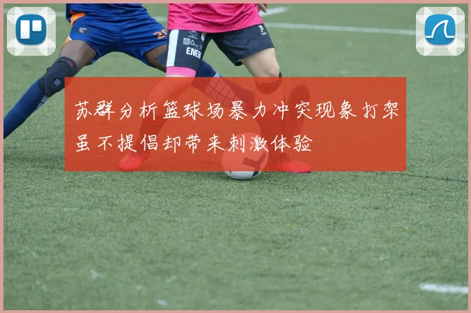 苏群分析篮球场暴力冲突现象打架虽不提倡却带来刺激体验