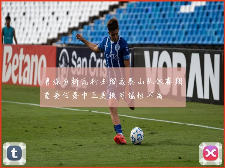 鲁媒分析瓦科去留成泰山队休赛期首要任务中卫更换可能性不高