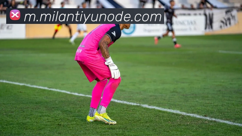 App Interface Preview