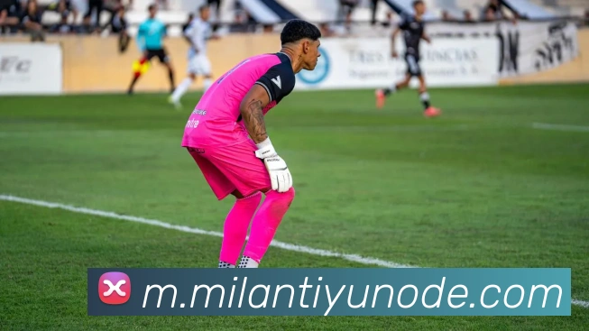 米兰体育APP 封面图